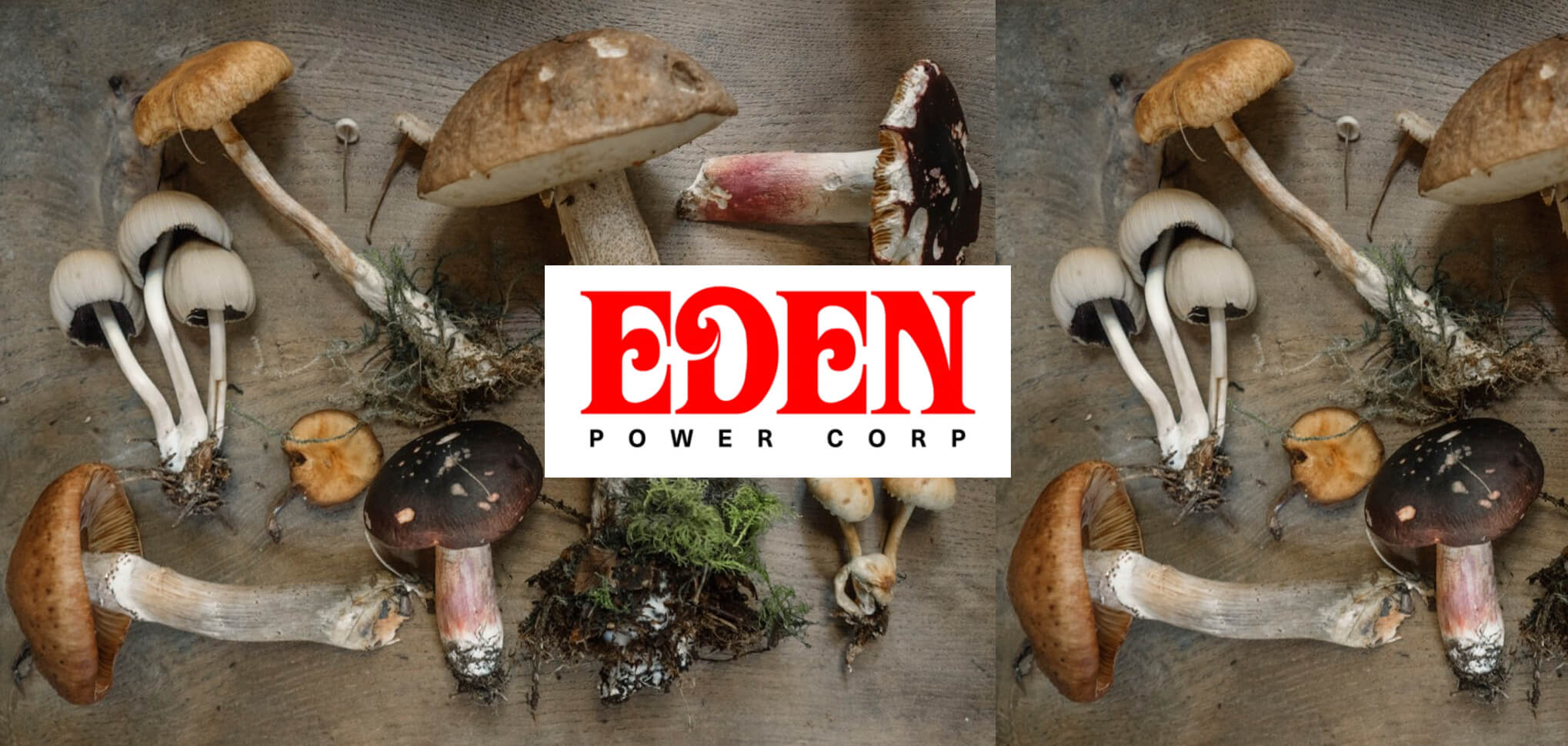 Introducing: EDEN Power Corp