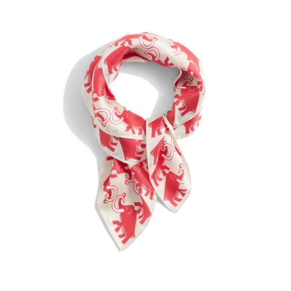 MAMMUT x NIGEL CABOURN Direttissima Silk Scarf