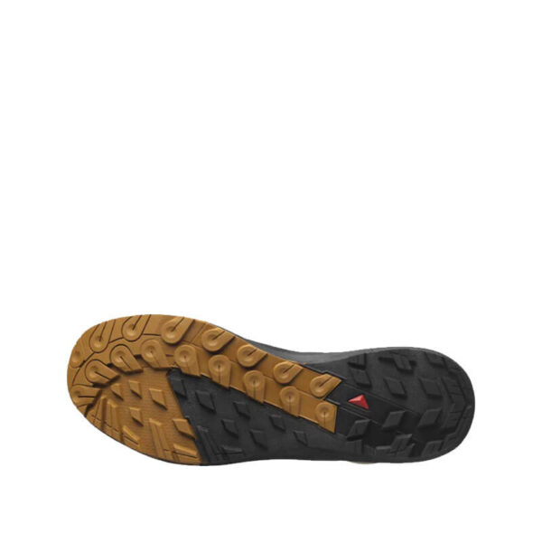 SALOMON Alpinway Advanced - Paleol