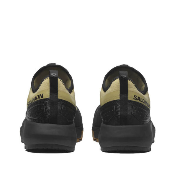 SALOMON Alpinway Advanced - Paleol