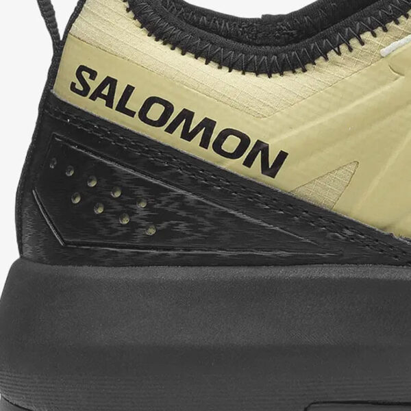 SALOMON Alpinway Advanced - Paleol