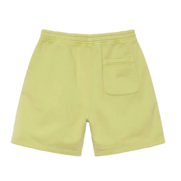 STUSSY Stock Logo Short - Pale Green